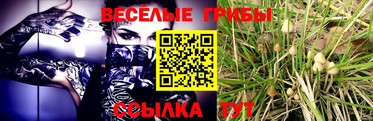 Галлюциногенные грибы MAGIC MUSHROOMS Бахчисарай